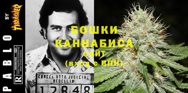PSILOCYBIN Алексин